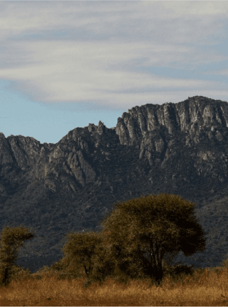 A beautiful landscape with lush greenery, supporting wildlife conservation.